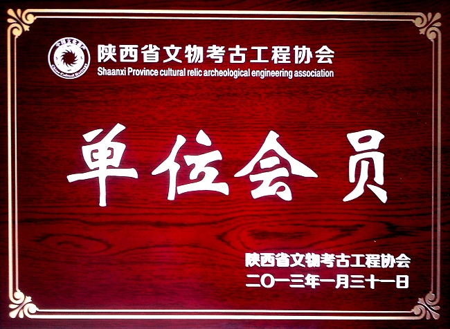 陕西省文物考古工程协会单位会员证